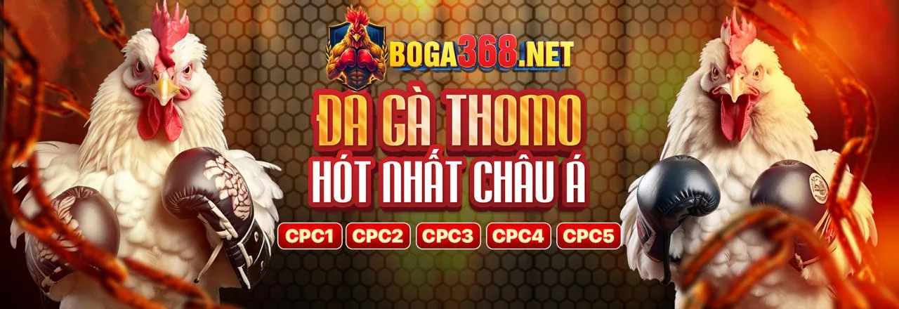 Đá gà trực tuyến 98bet nổ hũ